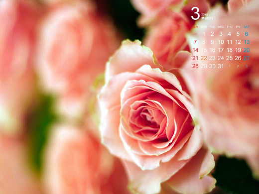 402229 (a): :1600x1200